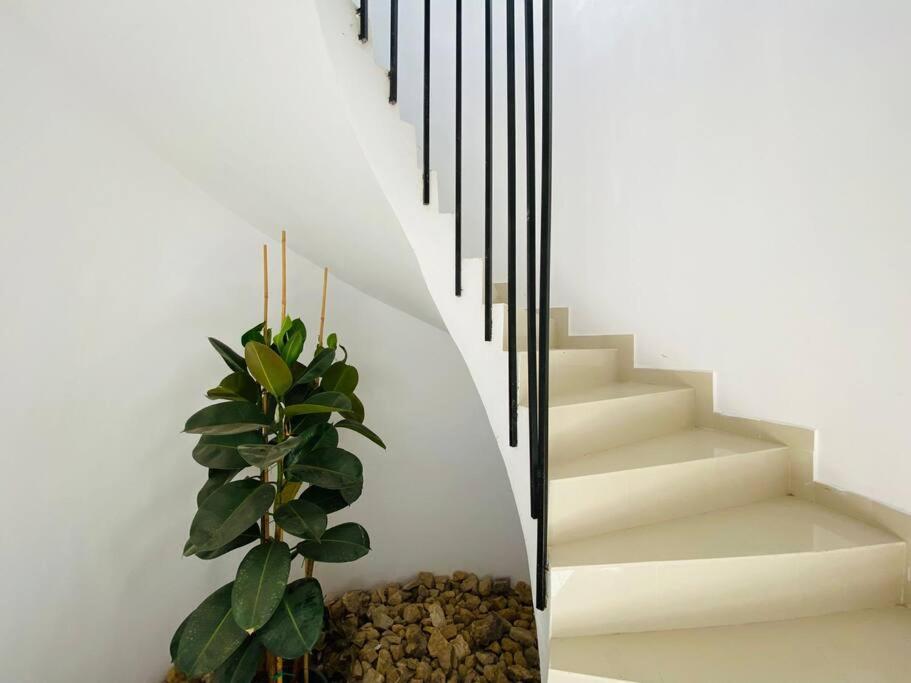 הוילה Olivella Contempory Exclusive Sitges Area מראה חיצוני תמונה