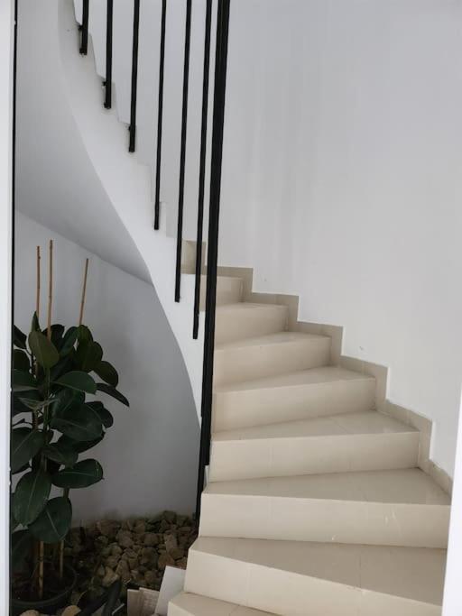 הוילה Olivella Contempory Exclusive Sitges Area מראה חיצוני תמונה